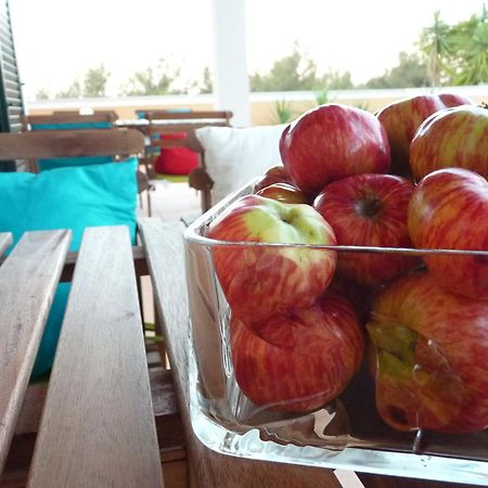 سيتوبال Casal Das Oliveiras المظهر الخارجي الصورة