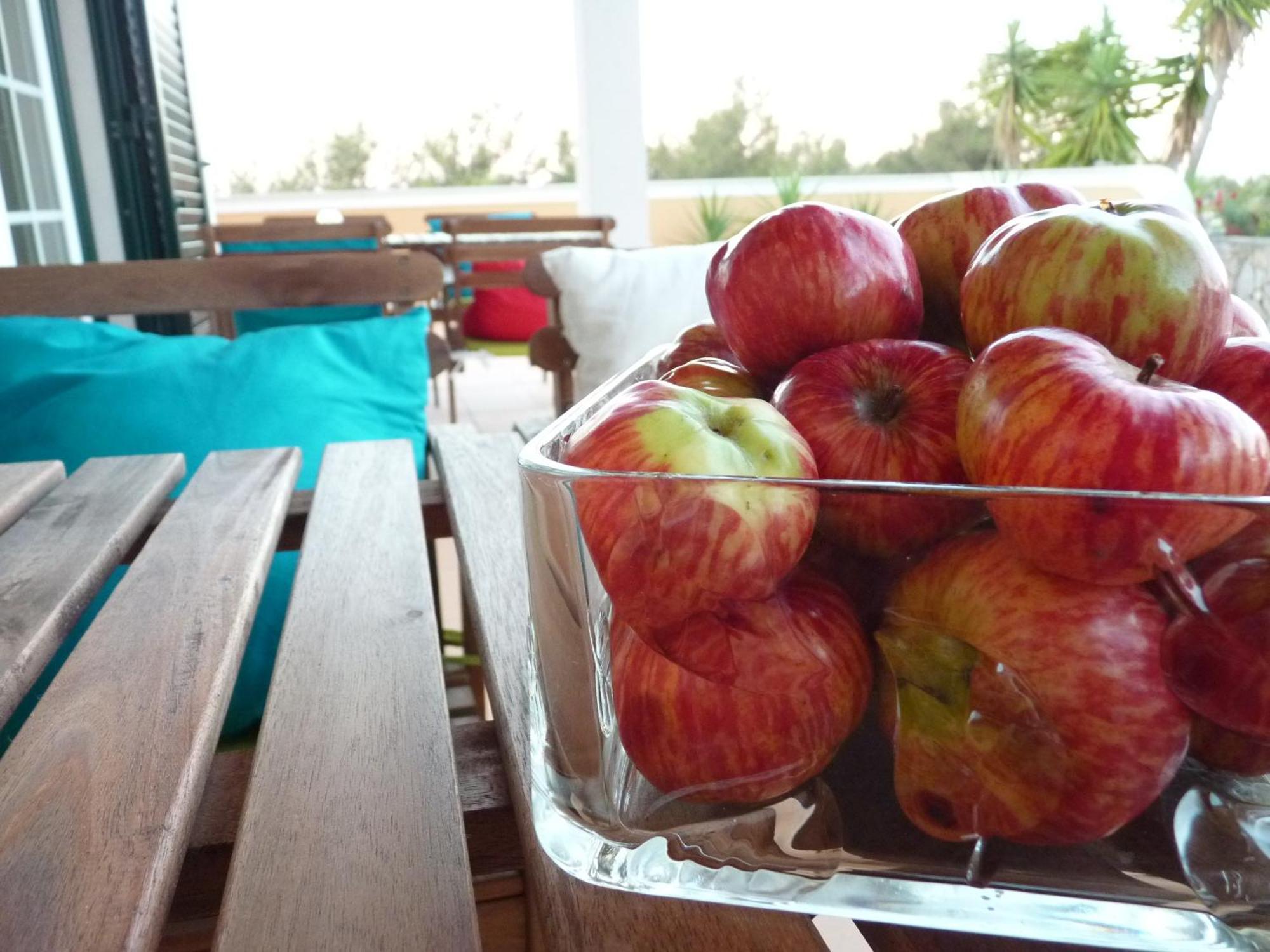 سيتوبال Casal Das Oliveiras المظهر الخارجي الصورة